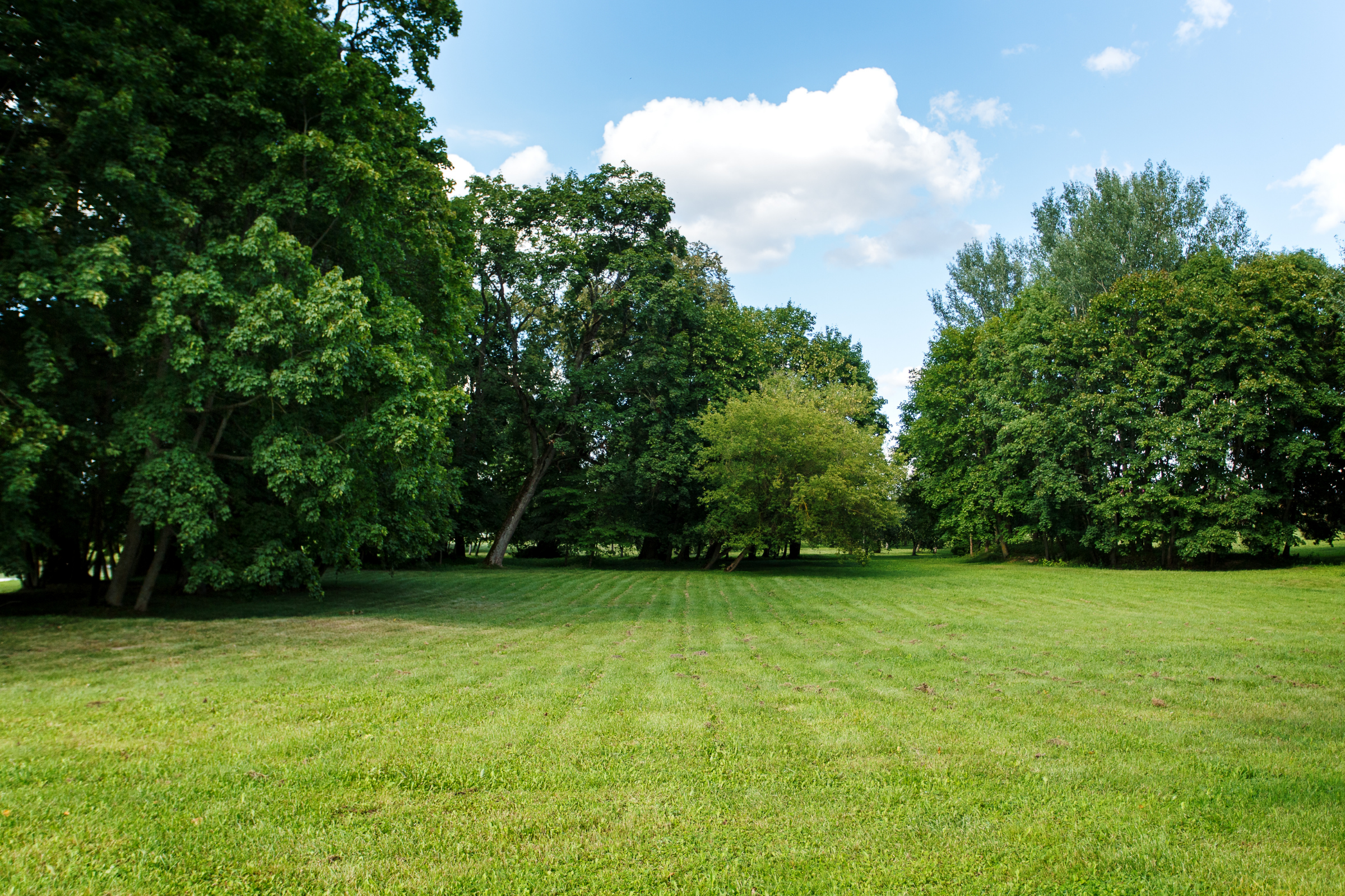 sheding natural park.webp